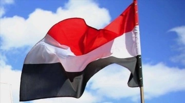 Yemen hükümeti, BMGK sürekli üyelerinden hesaplı krizle uğraş düşüncesince dayanaklık etmek istedi